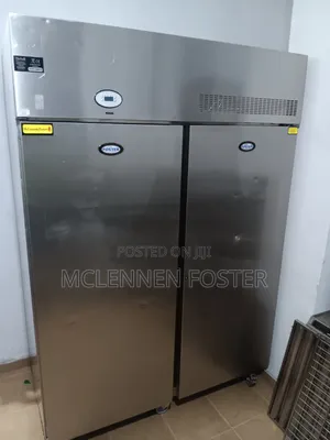 Stainless Steel Upright Commercial Freezer