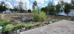 Plot for Sale