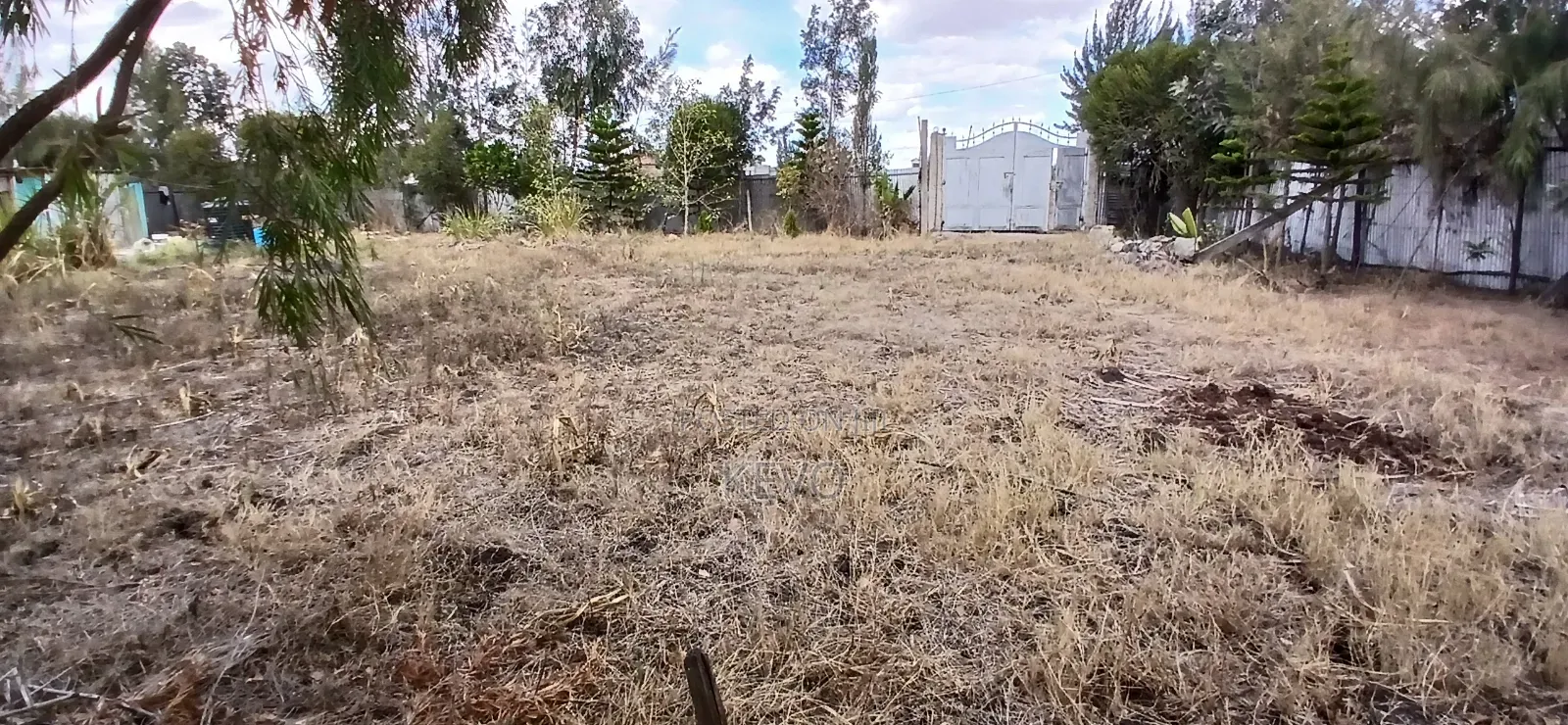 Plot for Sale