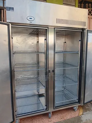 Stainless Steel Upright Commercial Freezer