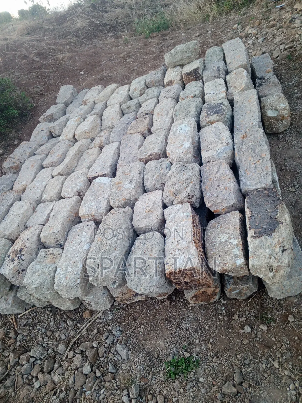 Foundation