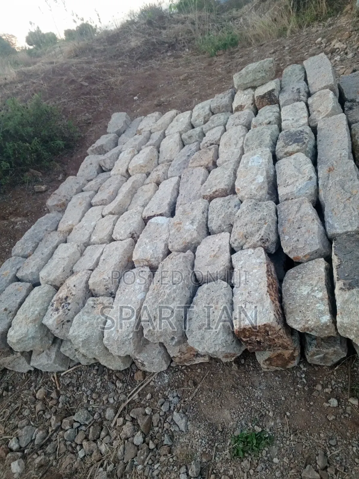 Foundation