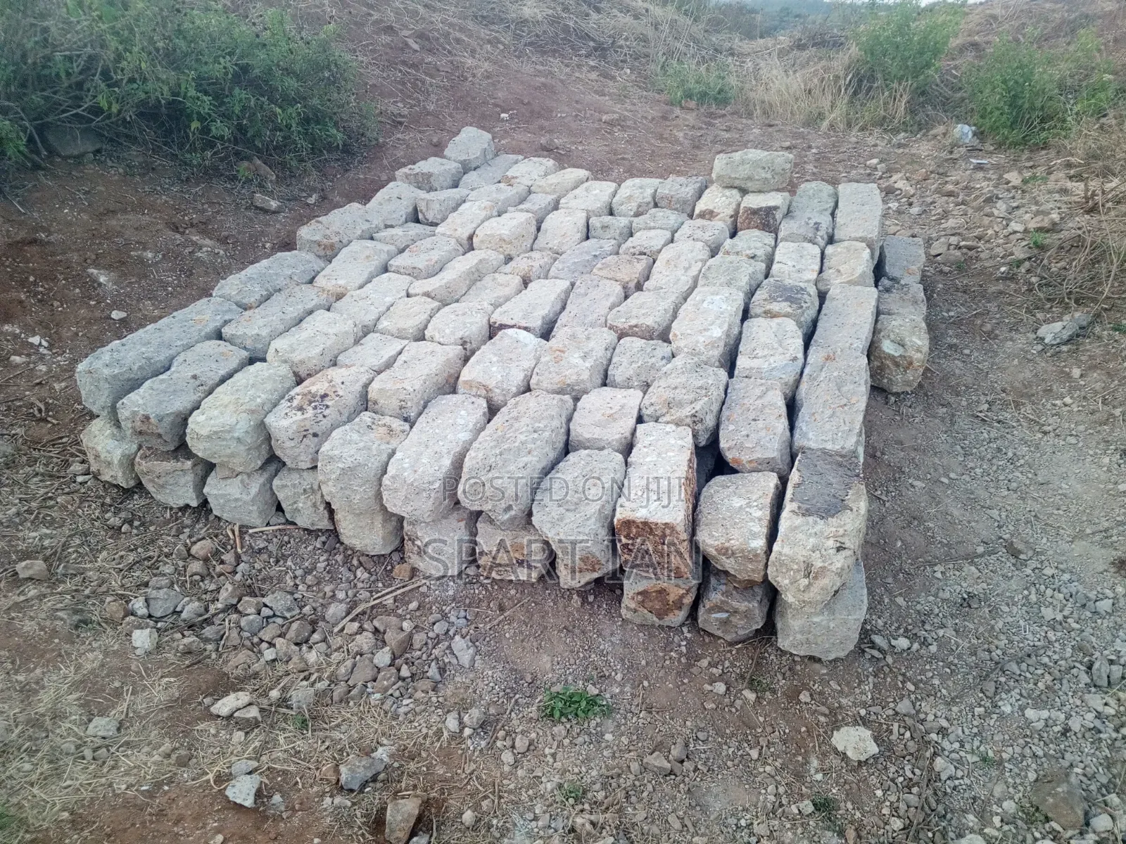 Foundation