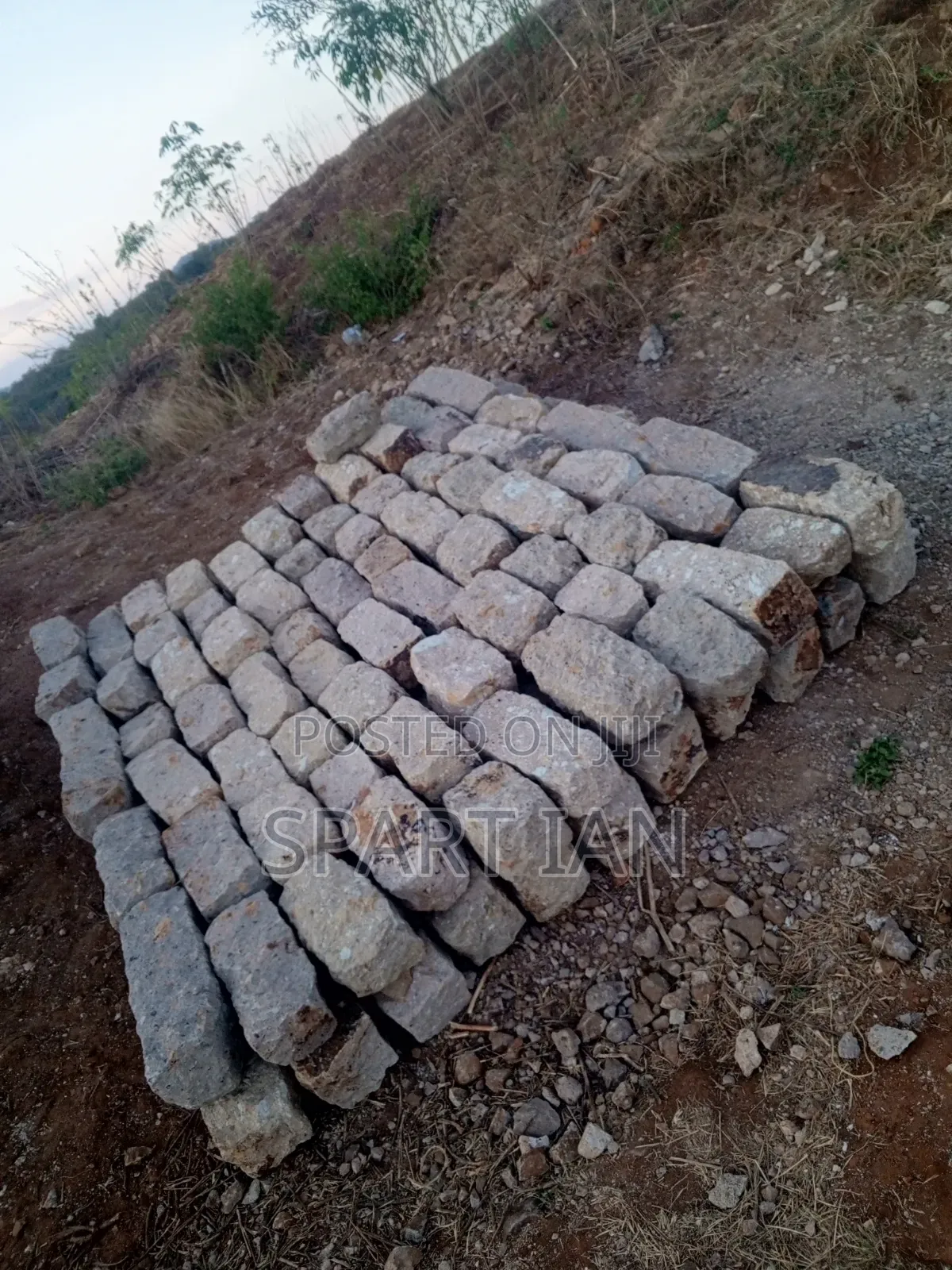Foundation