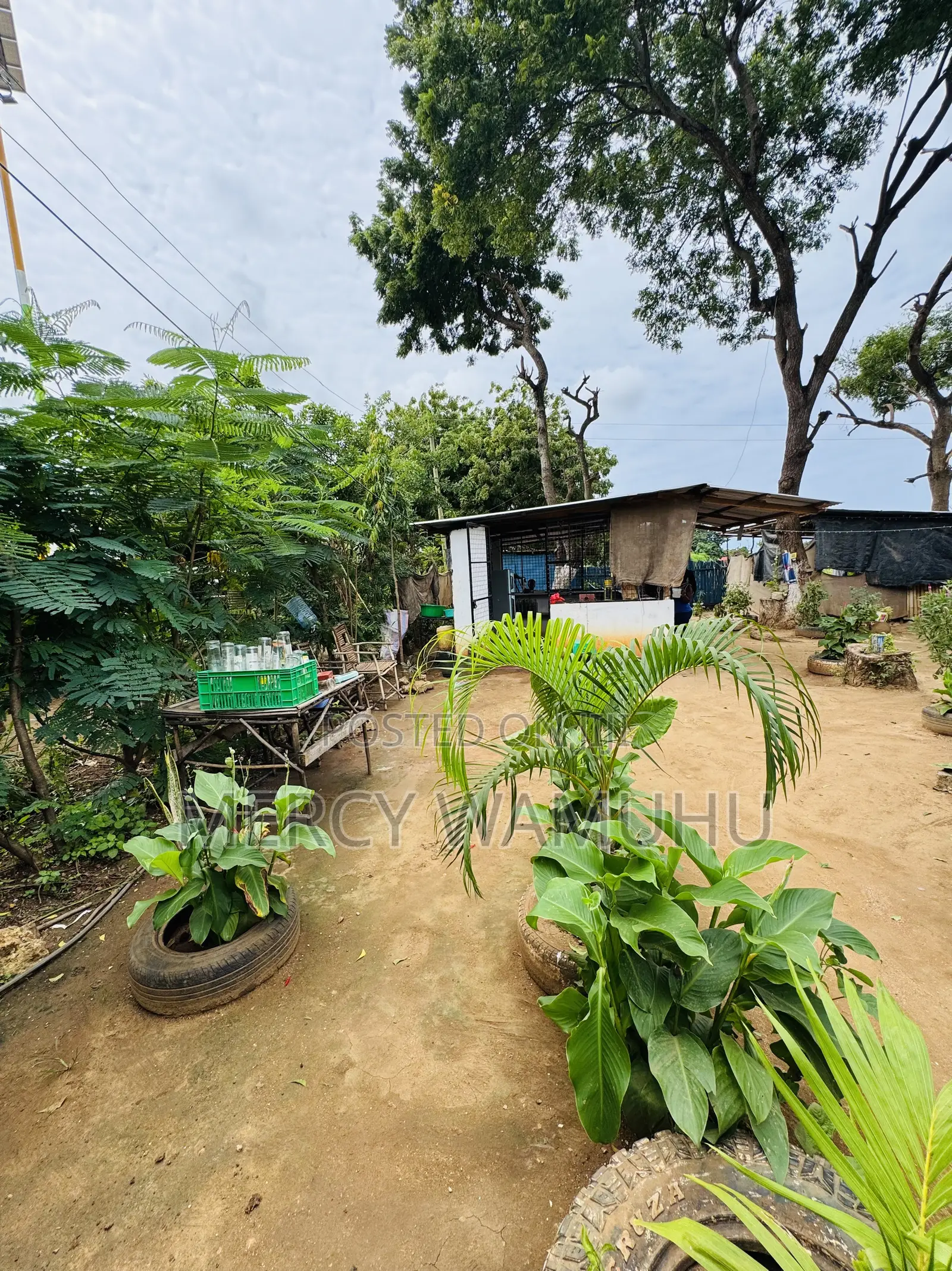 Plot for Sale
