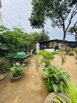 Plot for Sale