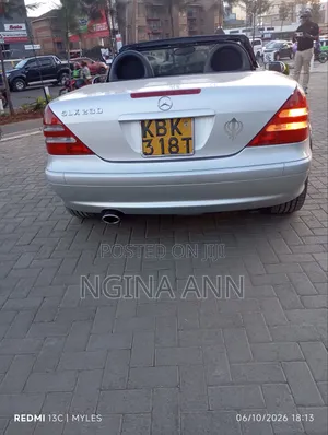 Mercedes-Benz SLK-Class 2004 Silver