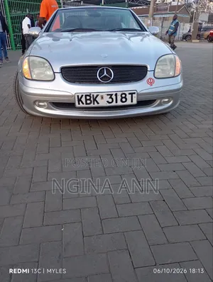 Mercedes-Benz SLK-Class 2004 Silver