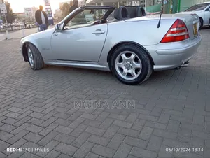 Mercedes-Benz SLK-Class 2004 Silver