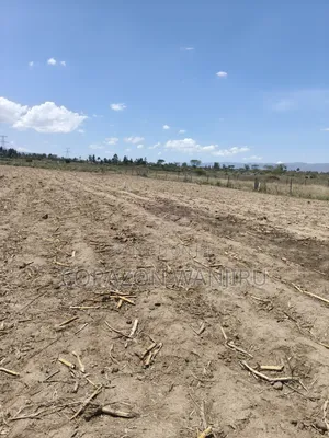 50*100plots in Miti Mingi