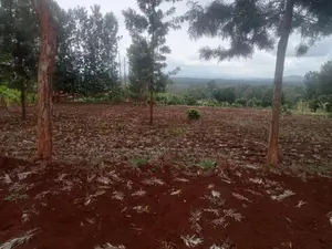 Prime 1 Acre Land for Sale Uceru Kirimunge.