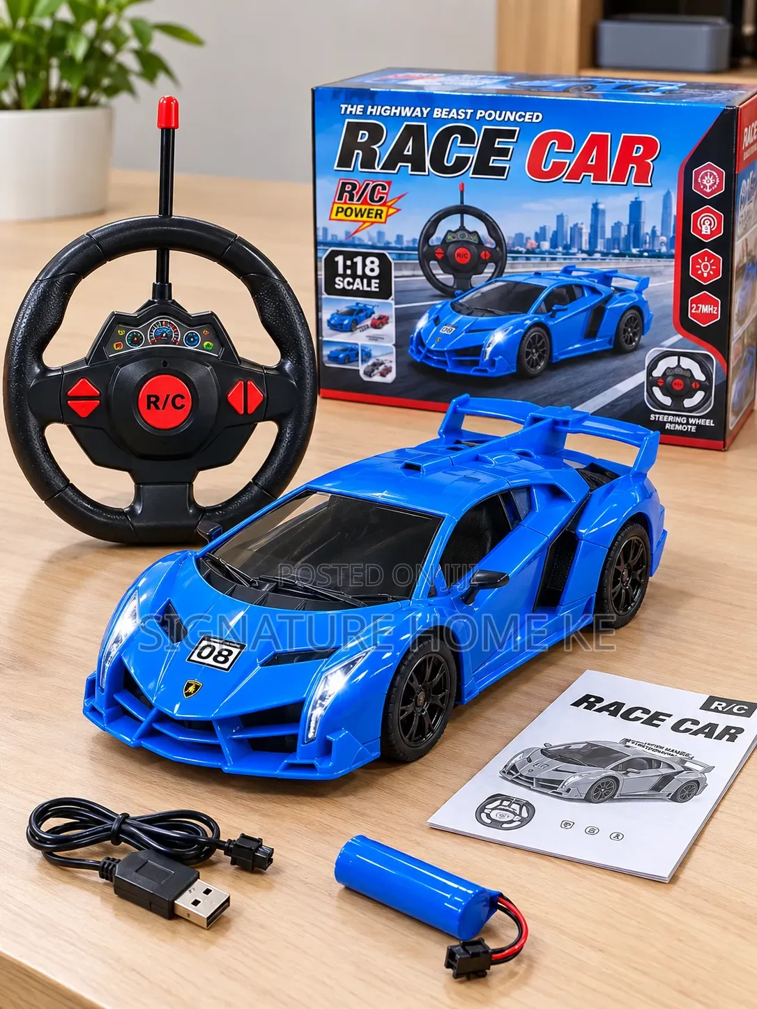 Remote Controlled Race Cars