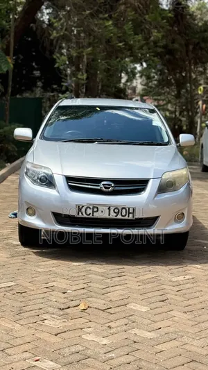 Toyota Corolla Fielder 2010 Silver