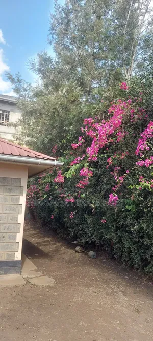 3bdrm Bungalow in Kiserian for rent