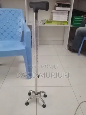 Adjustable Walking Stick