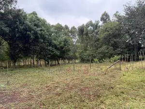 Lovely One Eighth Plots in Ngong