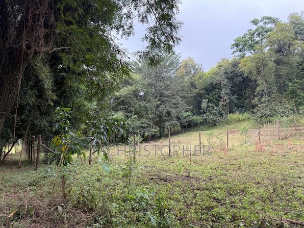 Lovely One Eighth Plots in Ngong - thumbnail 2