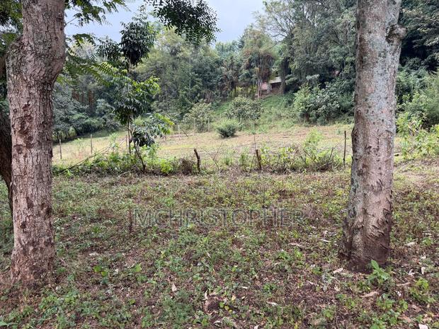 Lovely One Eighth Plots in Ngong - thumbnail 4