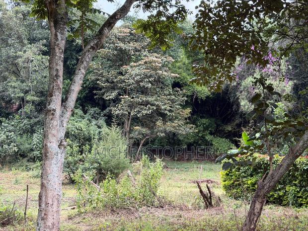 Lovely One Eighth Plots in Ngong - thumbnail 5