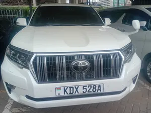 Toyota Land Cruiser 4.0 V6 EXR 2019 Pearl