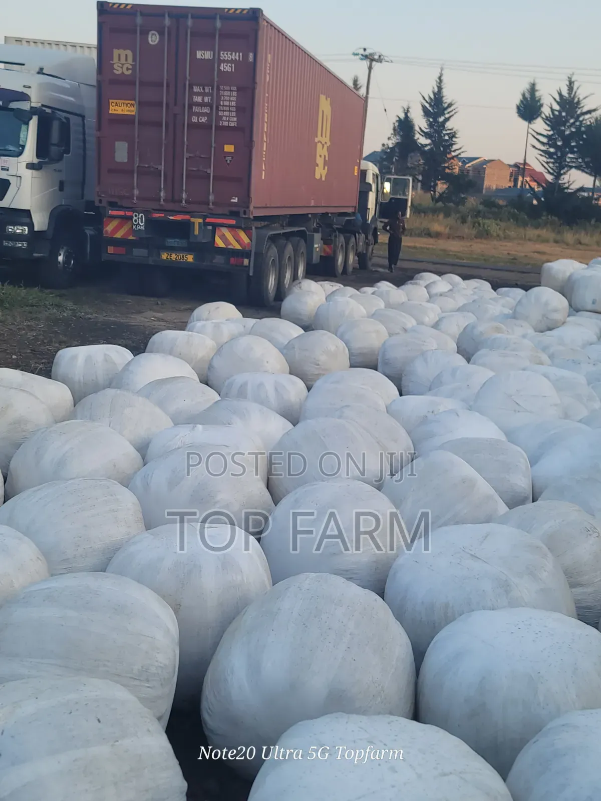 Silage Available at 15 Per Kg.