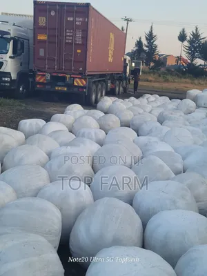 Silage Available at 15 Per Kg.