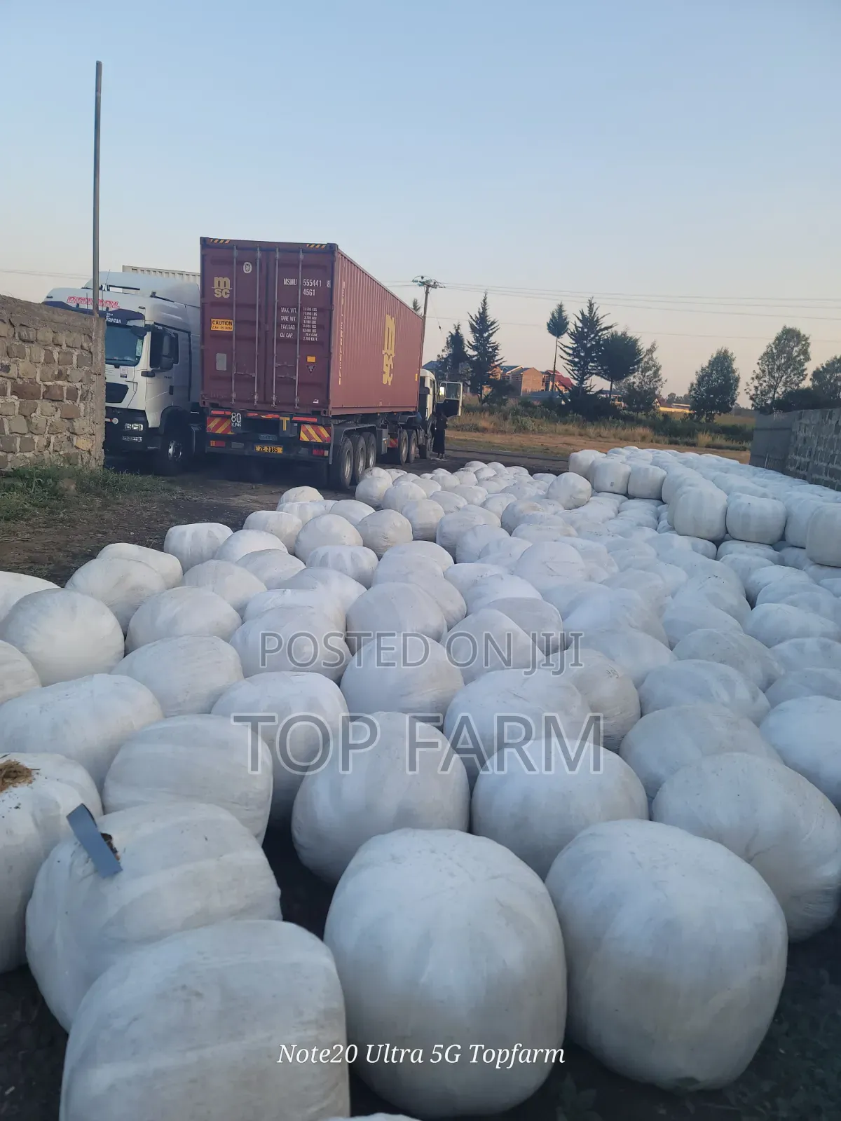 Silage Available at 15 Per Kg.