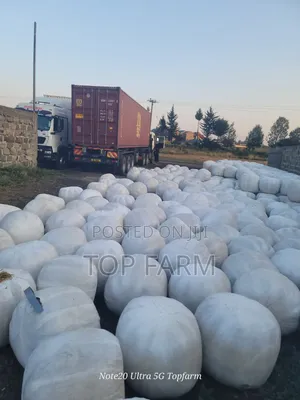 Silage Available at 15 Per Kg.