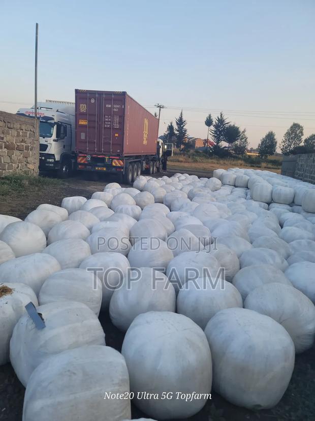 Silage Available at 15 Per Kg. - thumbnail 2