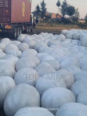Silage Available at 15 Per Kg.