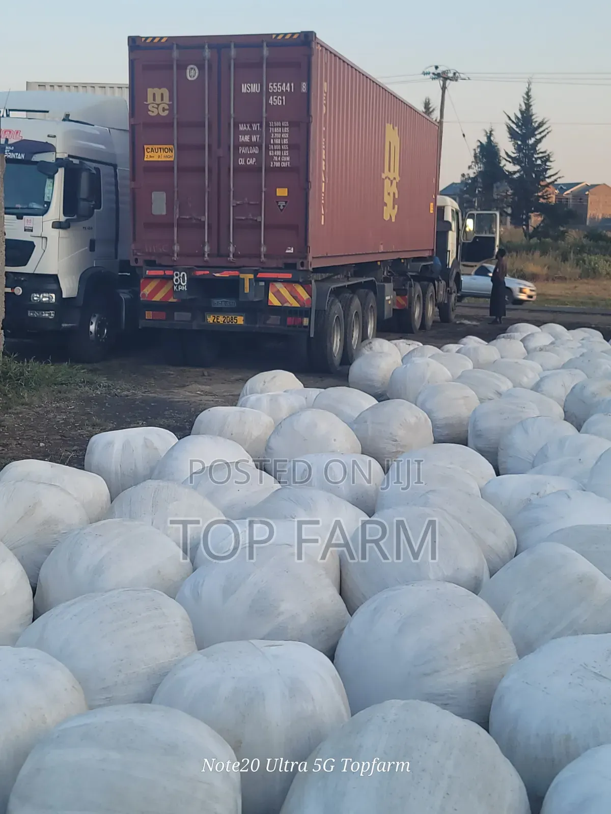 Silage Available at 15 Per Kg.