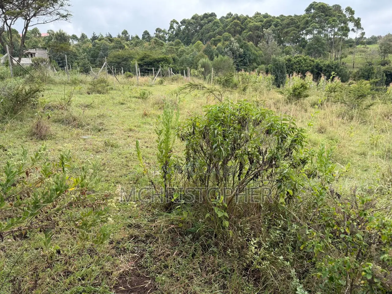 Stunning One Eighth Plots in Ngong