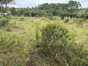Stunning One Eighth Plots in Ngong