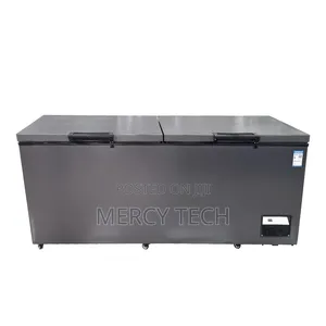 Premier Deep Freezer (500L)