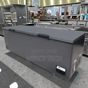 Premier Deep Freezer (500L)