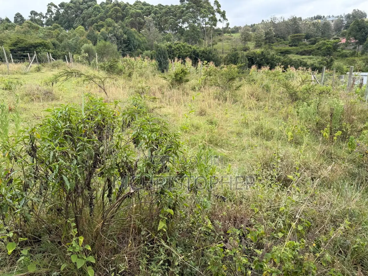Stunning One Eighth Plots in Ngong
