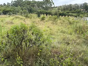 Stunning One Eighth Plots in Ngong
