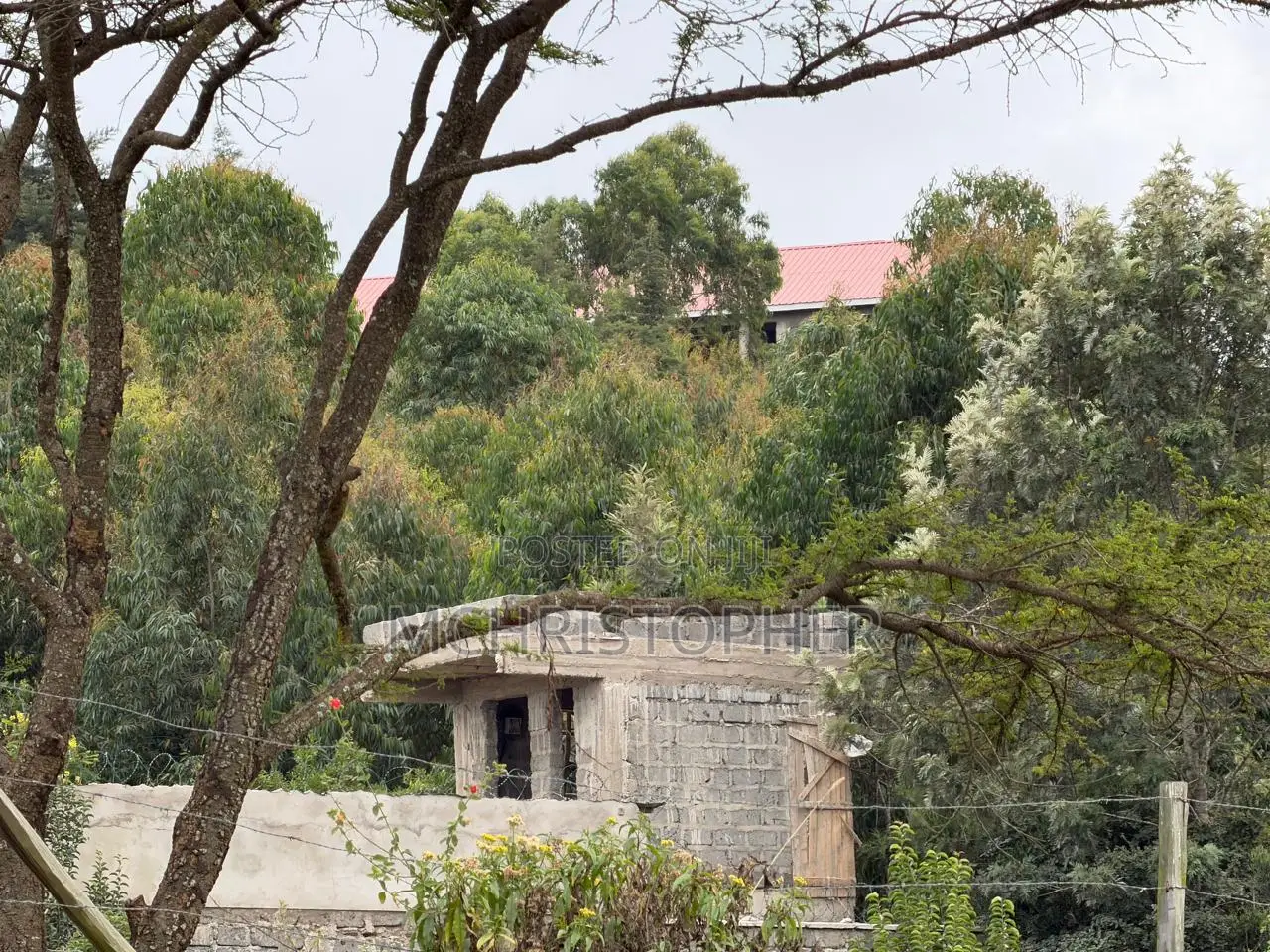 Stunning One Eighth Plots in Ngong