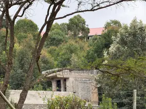 Stunning One Eighth Plots in Ngong