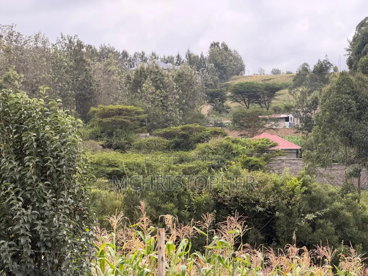 Stunning One Eighth Plots in Ngong
