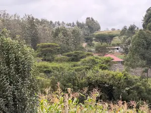 Stunning One Eighth Plots in Ngong