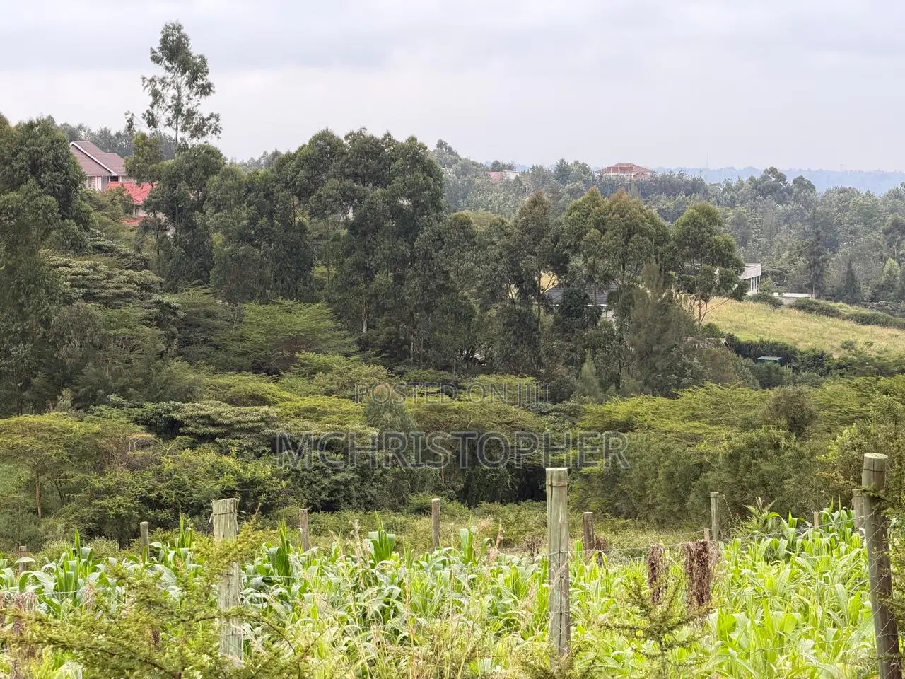 Stunning One Eighth Plots in Ngong