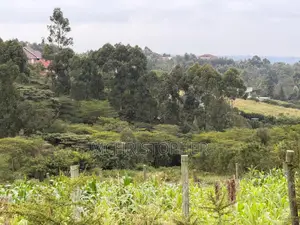 Stunning One Eighth Plots in Ngong