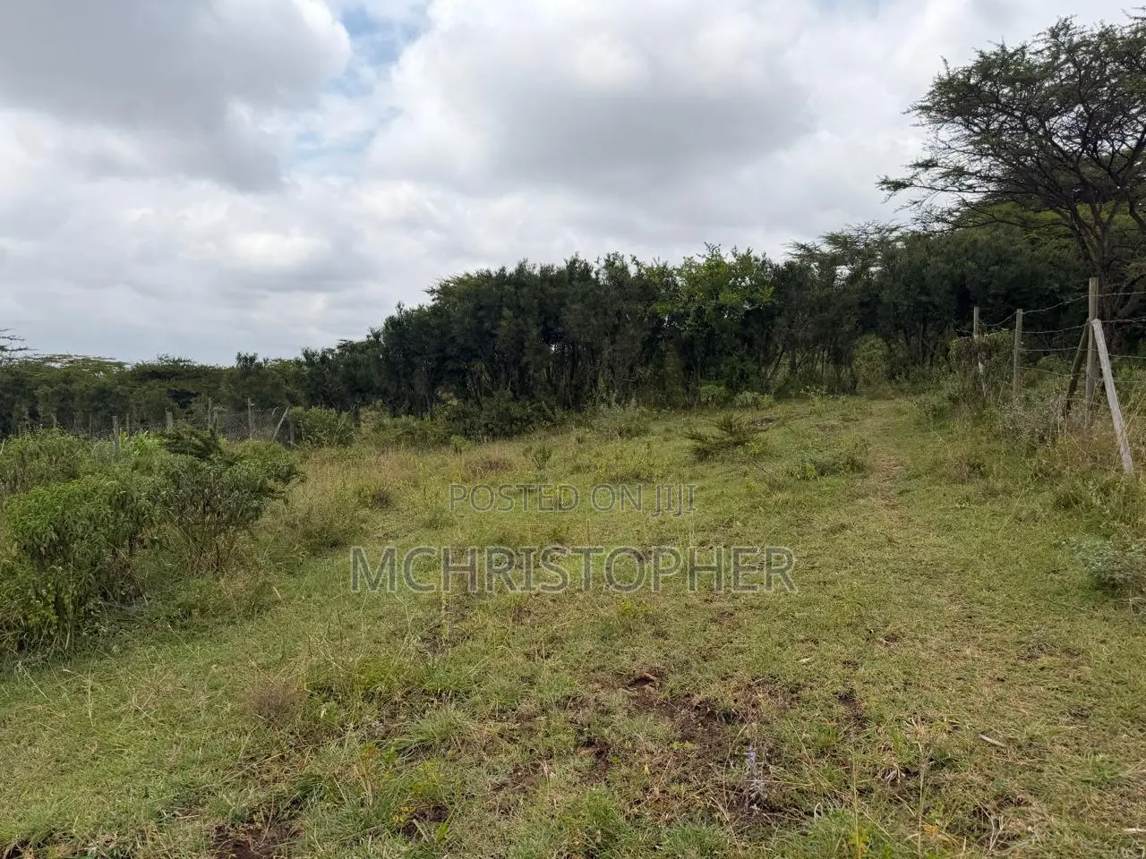 Stunning One Eighth Plots in Ngong