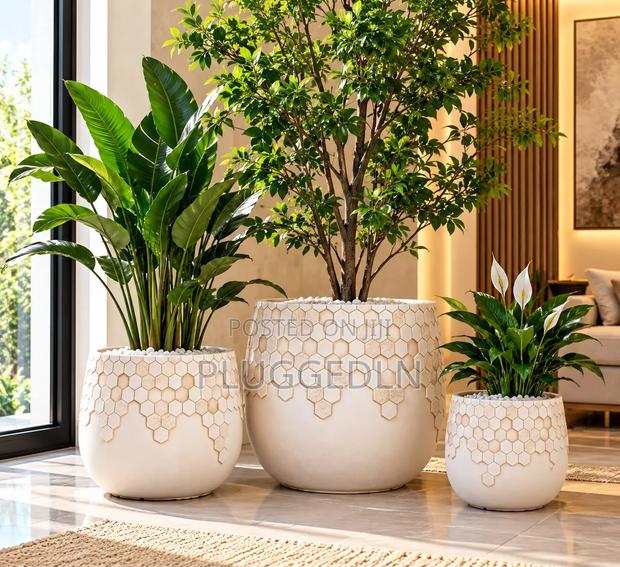Luxury Concrete Planters .