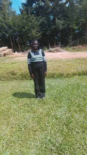 Sales and Marketing Agent