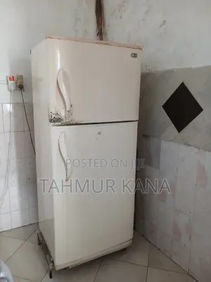 Stand Fridge