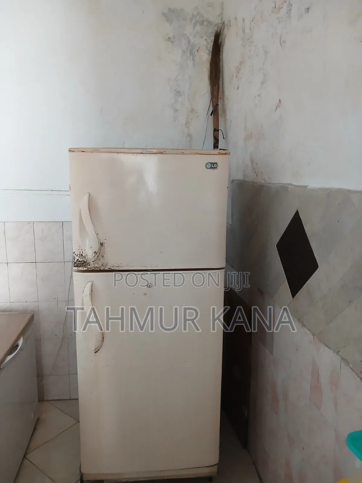 Stand Fridge