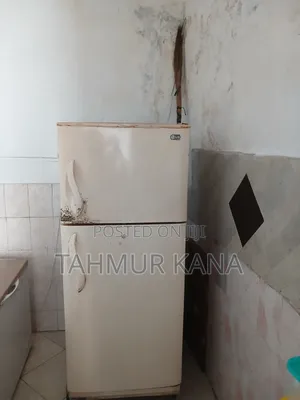 Stand Fridge