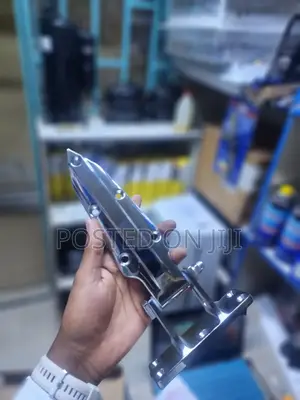Cold Room Door Hinge